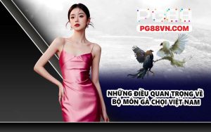 Những điều quan trọng về bộ môn gà chọi Việt Nam